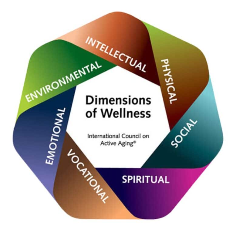 7 Pillars of Wellness | CC Young | Seniors Blue Book